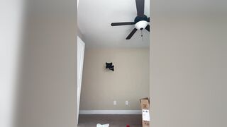 Can I hang them in your face ????