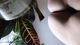 Small Tits / Big Ass: Really love your peaches, wanna shake your tree! ♥️♥️ #4